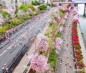 开云平台-马拉松，就是要多向社会“报喜”